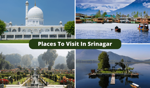 Top Places to See in Srinagar