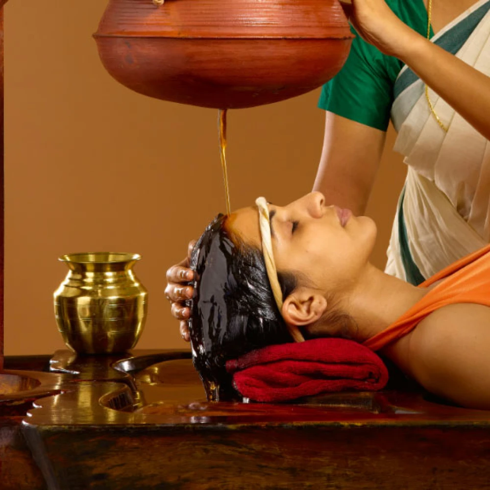 Ayurveda Wellness Services & Tourism Products