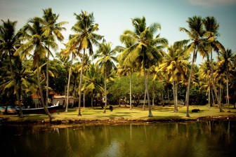 Honeymoon in Kerala