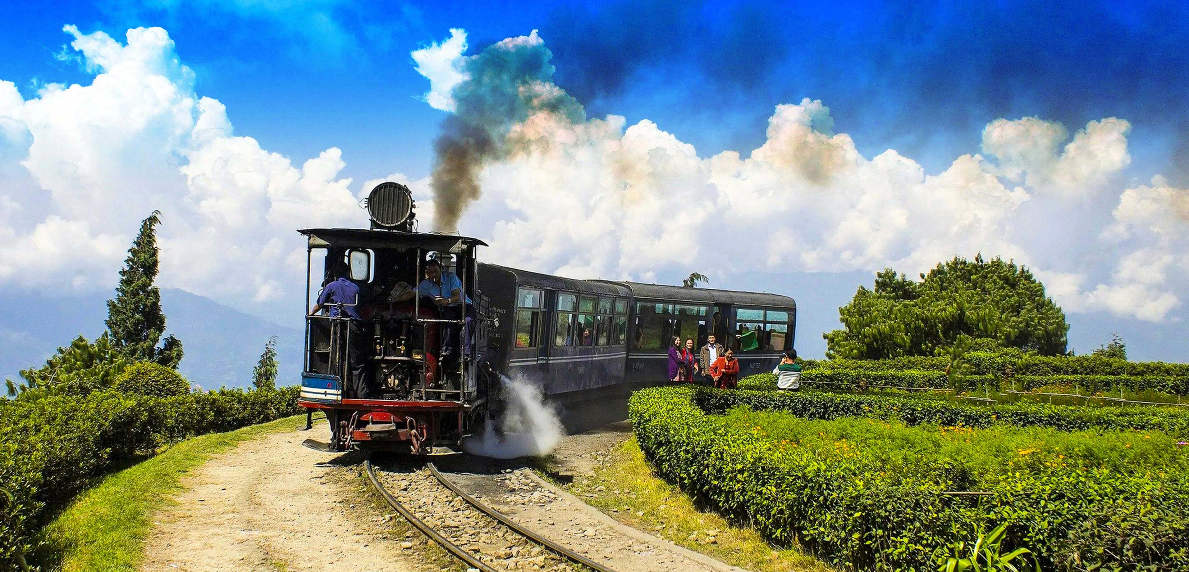 Majestic Darjeeling