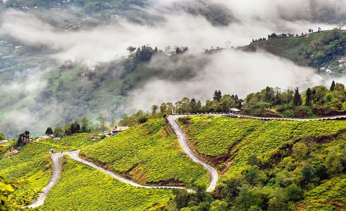 Family Friendly Darjeeling