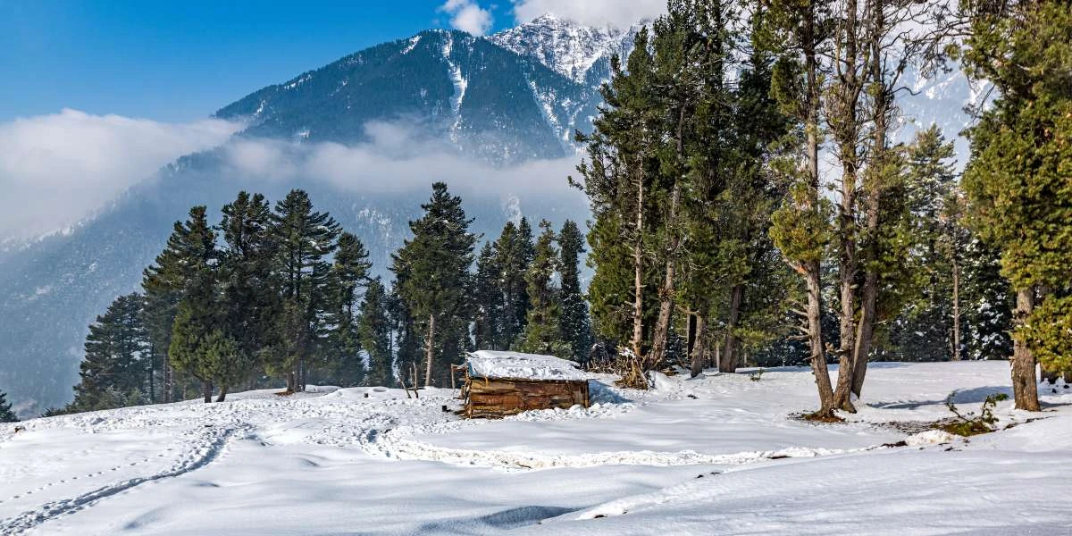 Majestic Kashmir