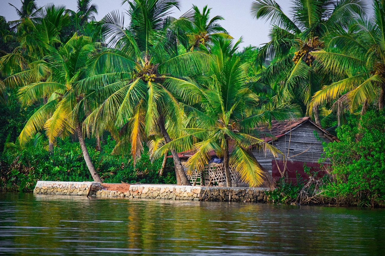 Kerala: Nature’s Embrace