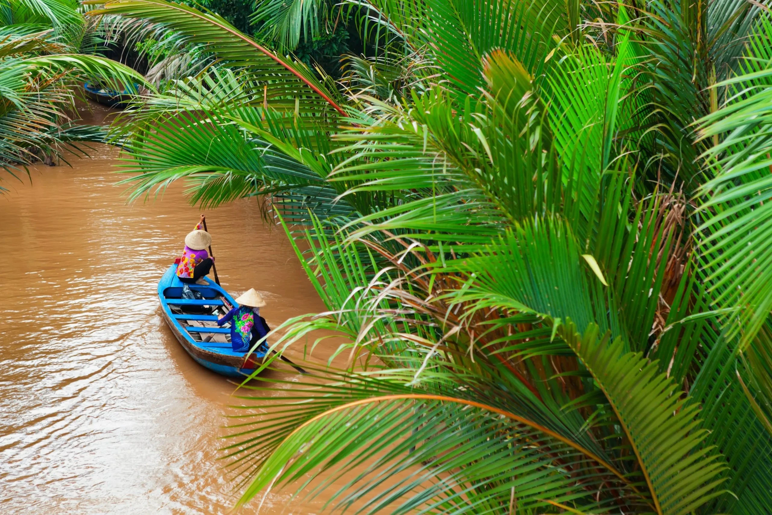 Mekong Delta Boat Ride: Vietnam