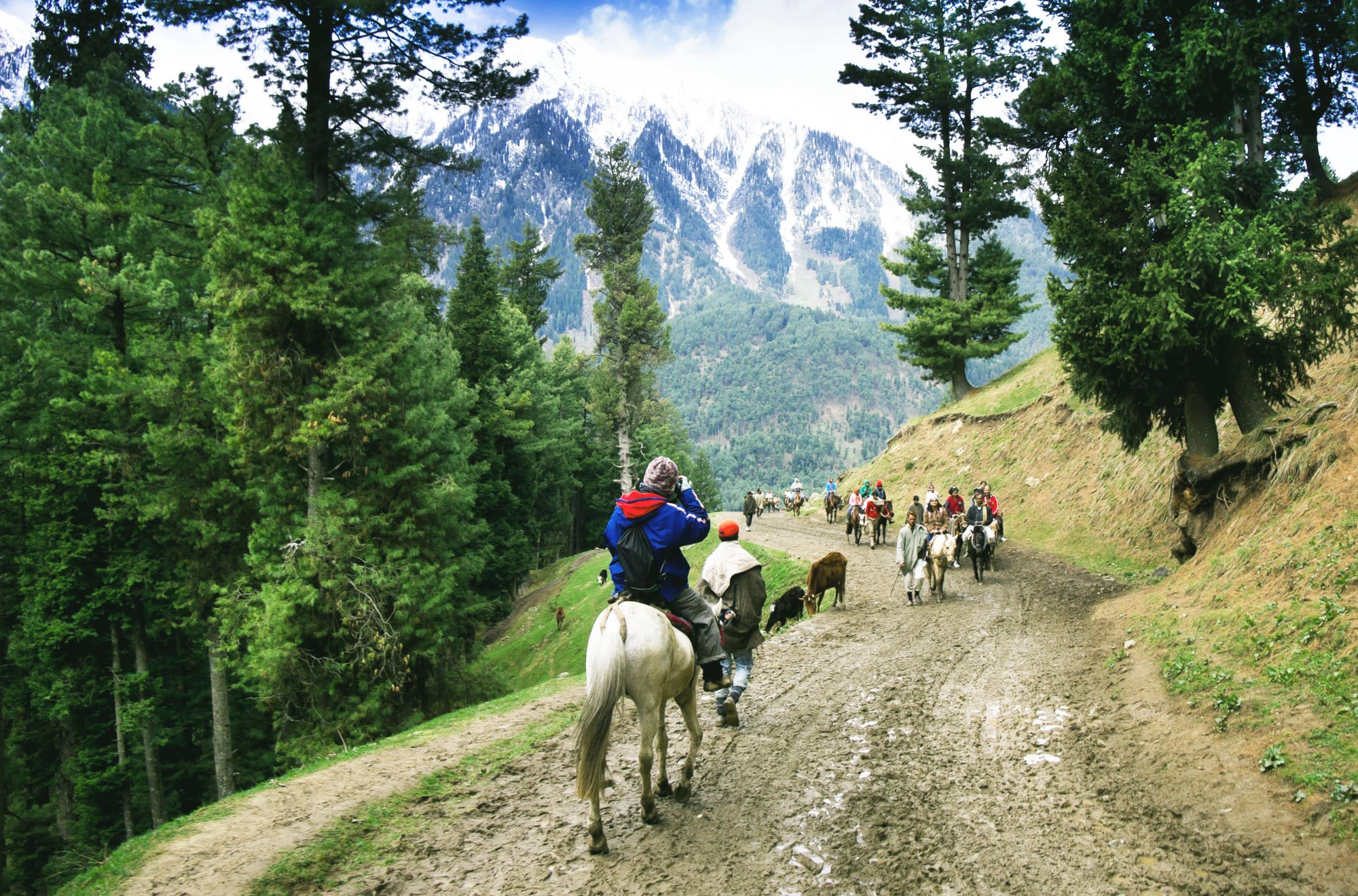 Exciting Pony Ride in Kashmir