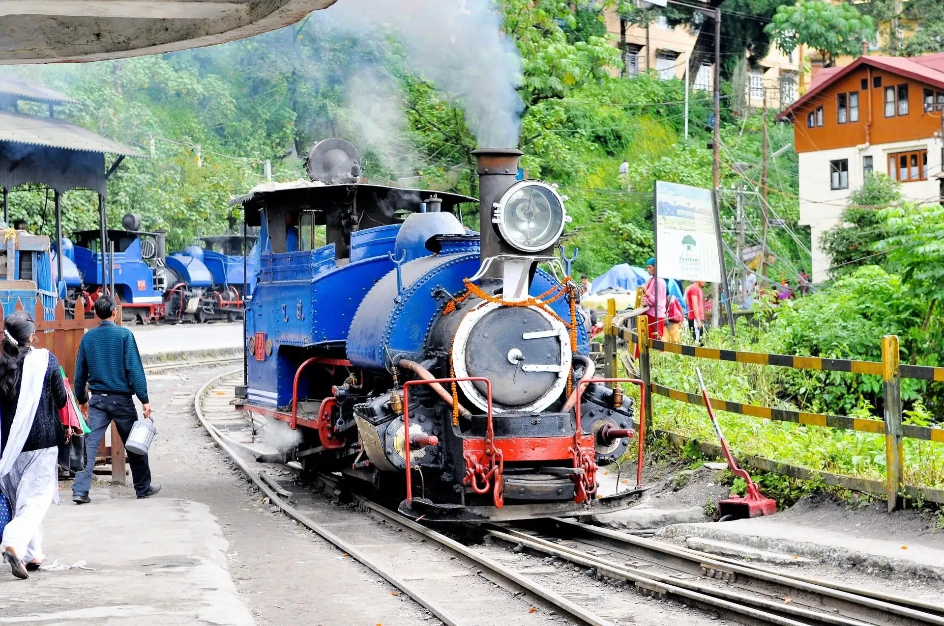 Magical Toy Train in Darjeeling