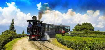 Majestic Darjeeling